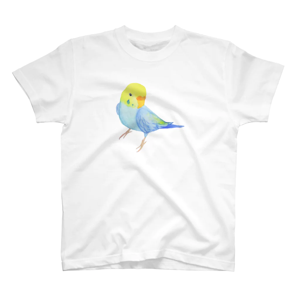 琥珀色に咲く花の水彩セキセイインコさん スタンダードTシャツ