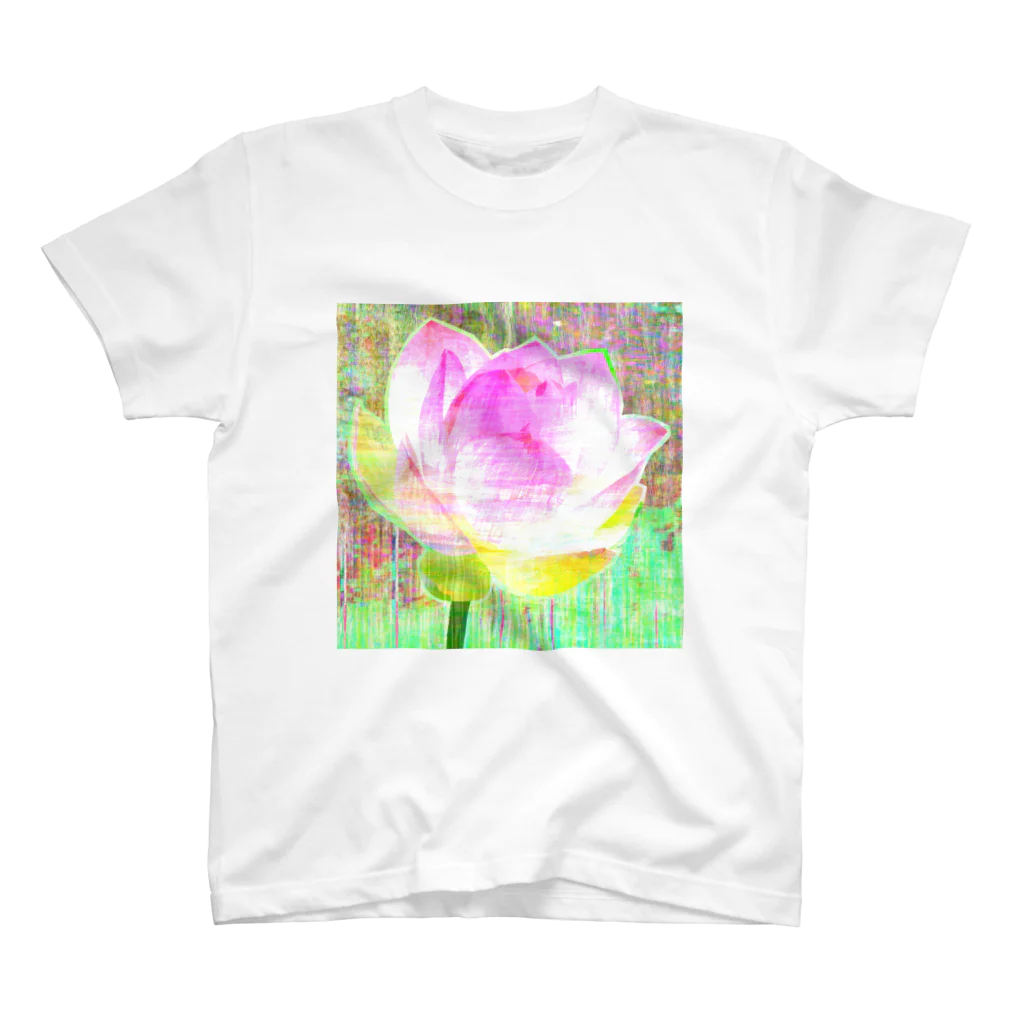 水草の蓮の花 スタンダードTシャツ