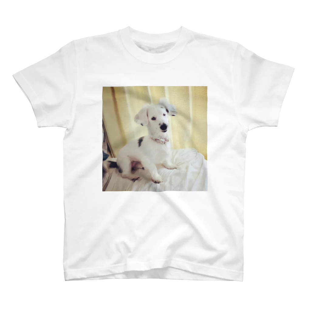 アトリエいぬSTOREのあどけない犬 Regular Fit T-Shirt