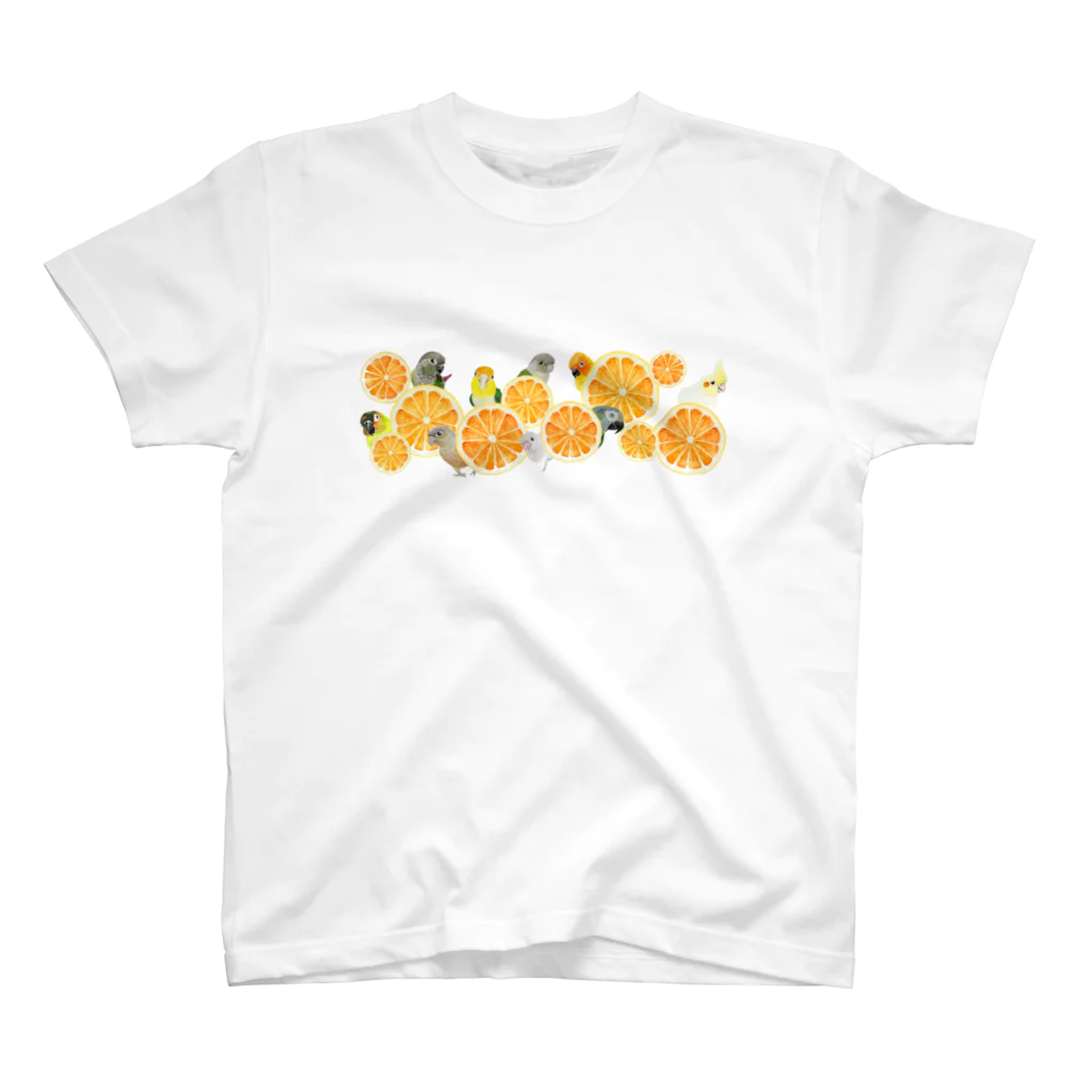 mariechan_koboの060 Citrus Hide and Seek スタンダードTシャツ