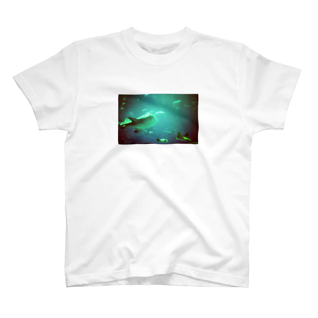 CROSS PROCESS（クロスプロセス）のaquarium_blue  スタンダードTシャツ