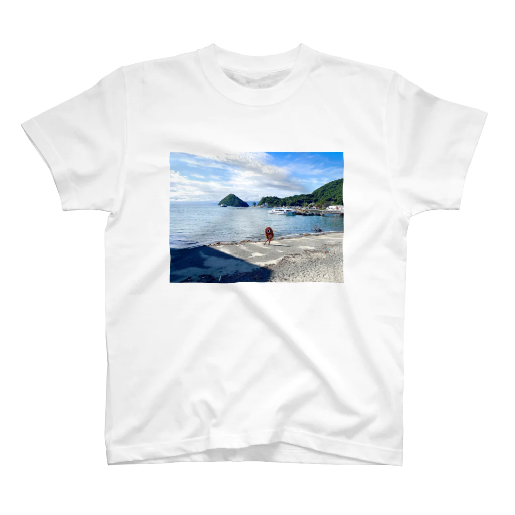 化けわらじ工房の海と化けわらじ Regular Fit T-Shirt