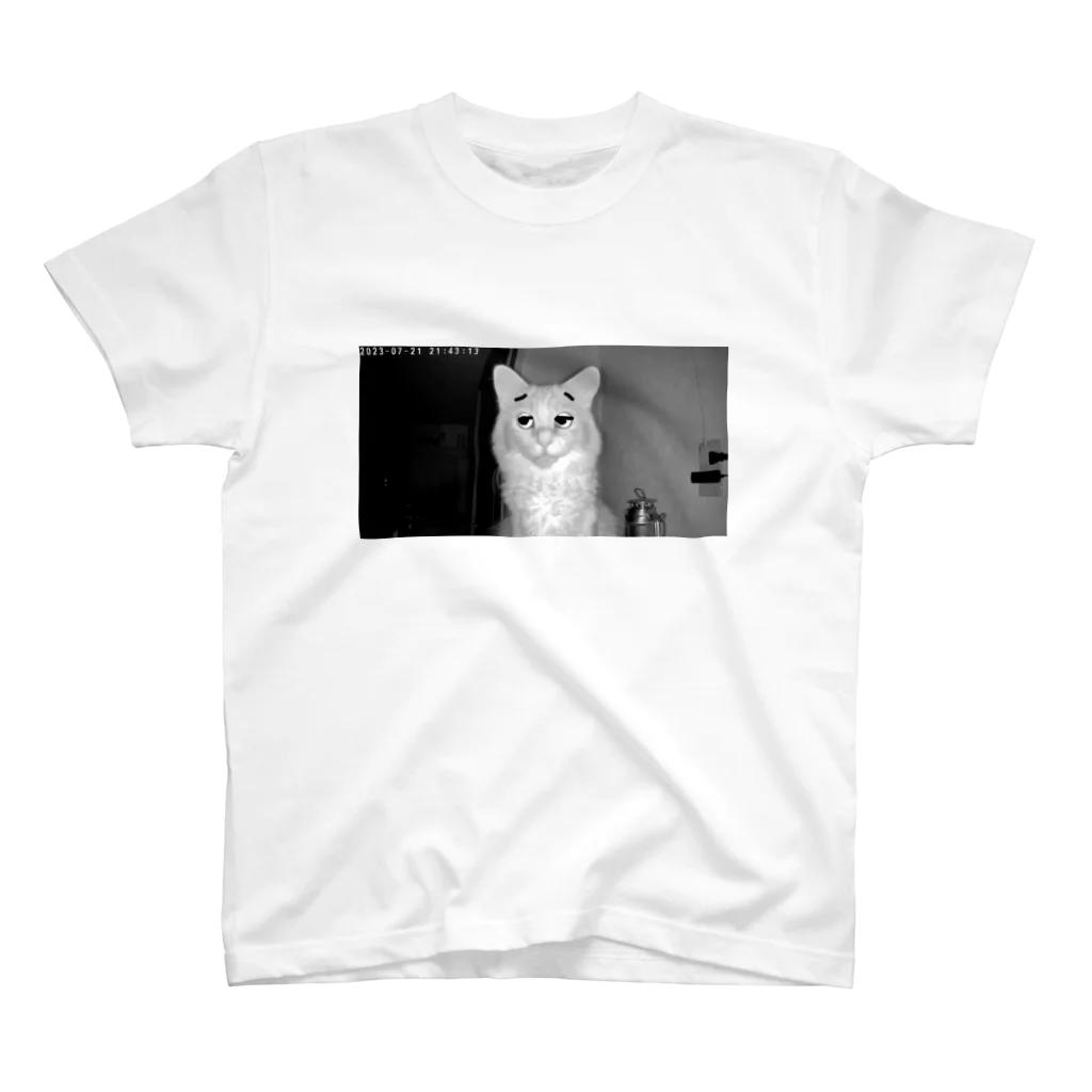 ねこすきシスターズのかわいいねこ スタンダードTシャツ