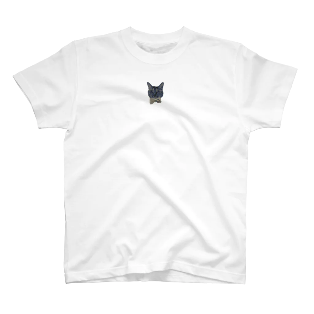 pen_da_panのねこねこおかお Regular Fit T-Shirt