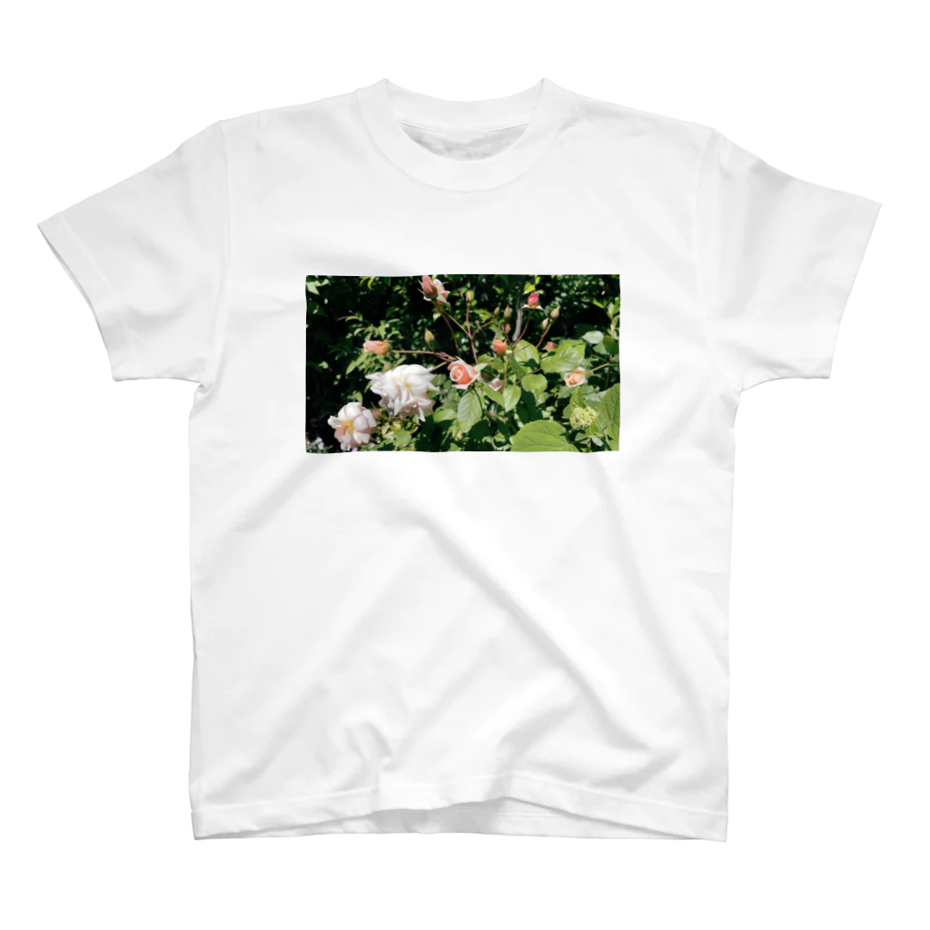 Moet_photoのRose#1 スタンダードTシャツ