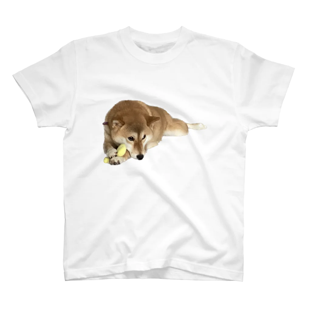 松島ワークショップの柴犬Tシャツ スタンダードTシャツ