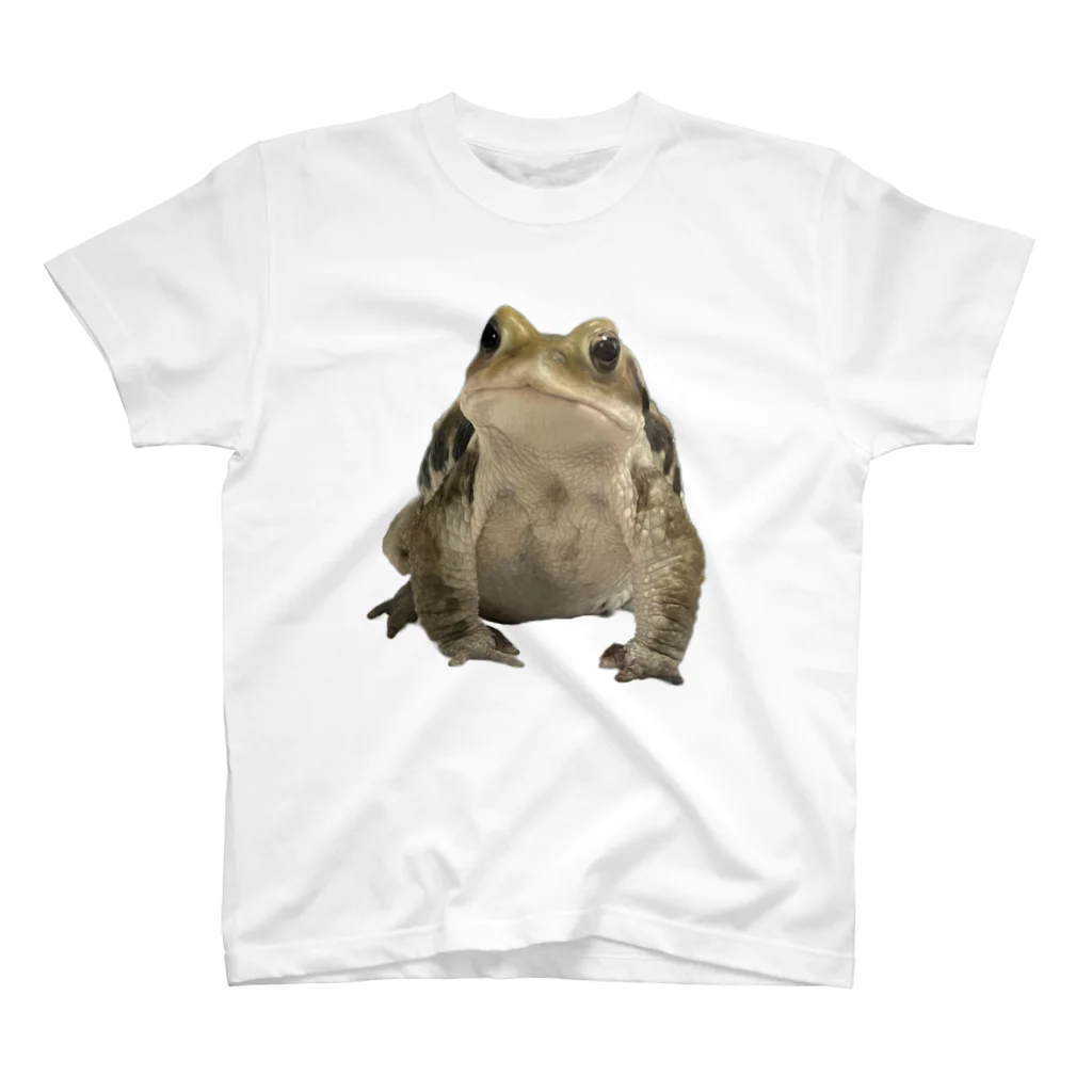 my sweetest toadのmy sweetest toad 2023 ver.A スタンダードTシャツ