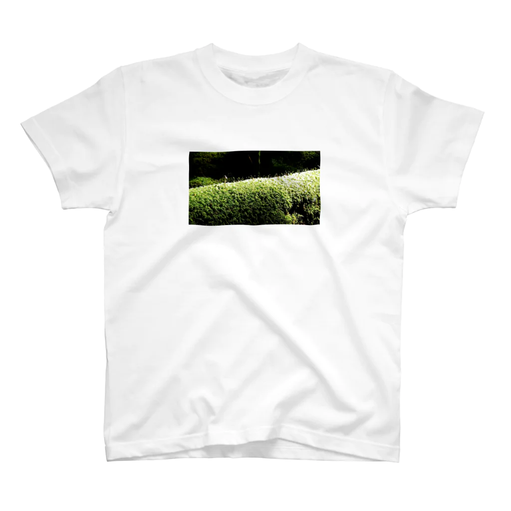 CHERRYの苔苔くん スタンダードTシャツ