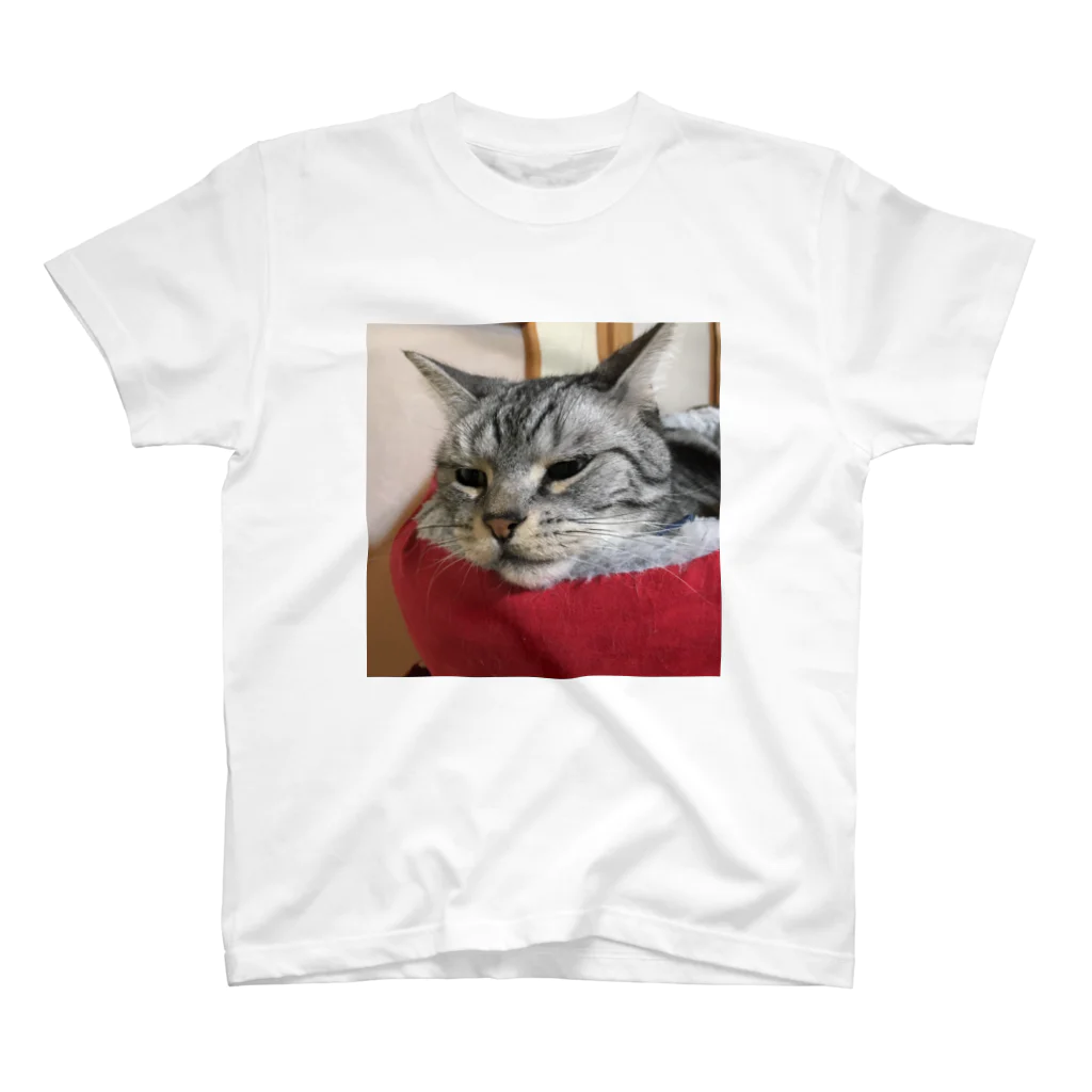 ねこノートのあごのせ寝 スタンダードTシャツ