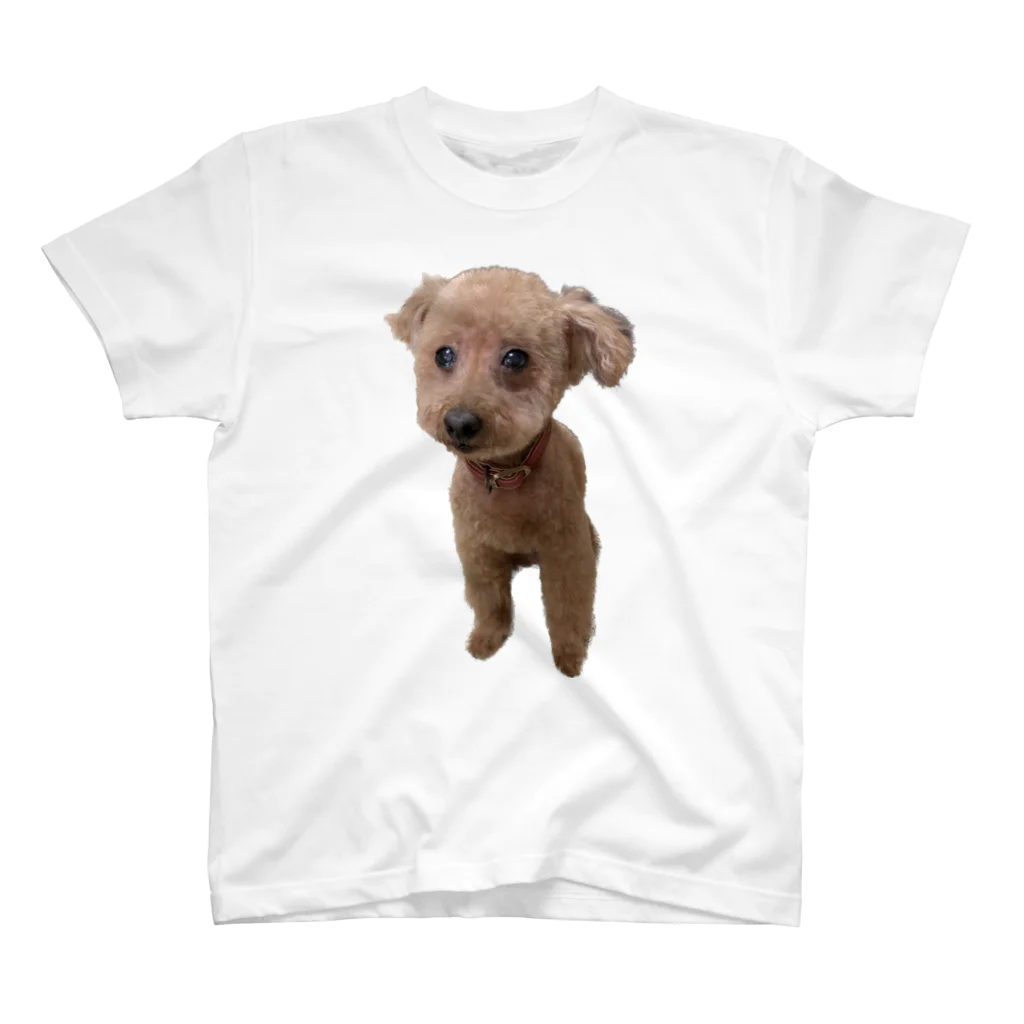 ぷ〜の家のぴかぴかの犬 Regular Fit T-Shirt