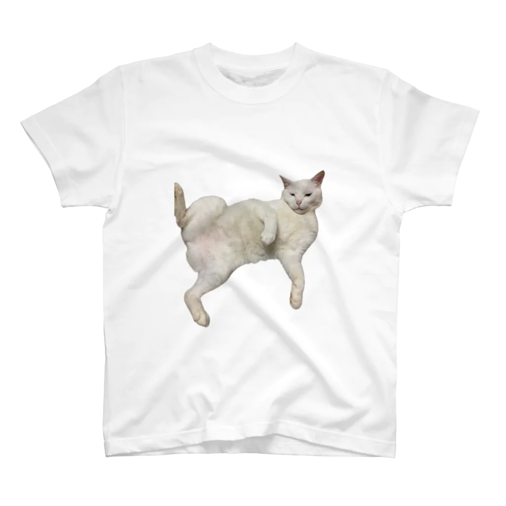 竹城牧場🪼さかかのうちの猫 スタンダードTシャツ