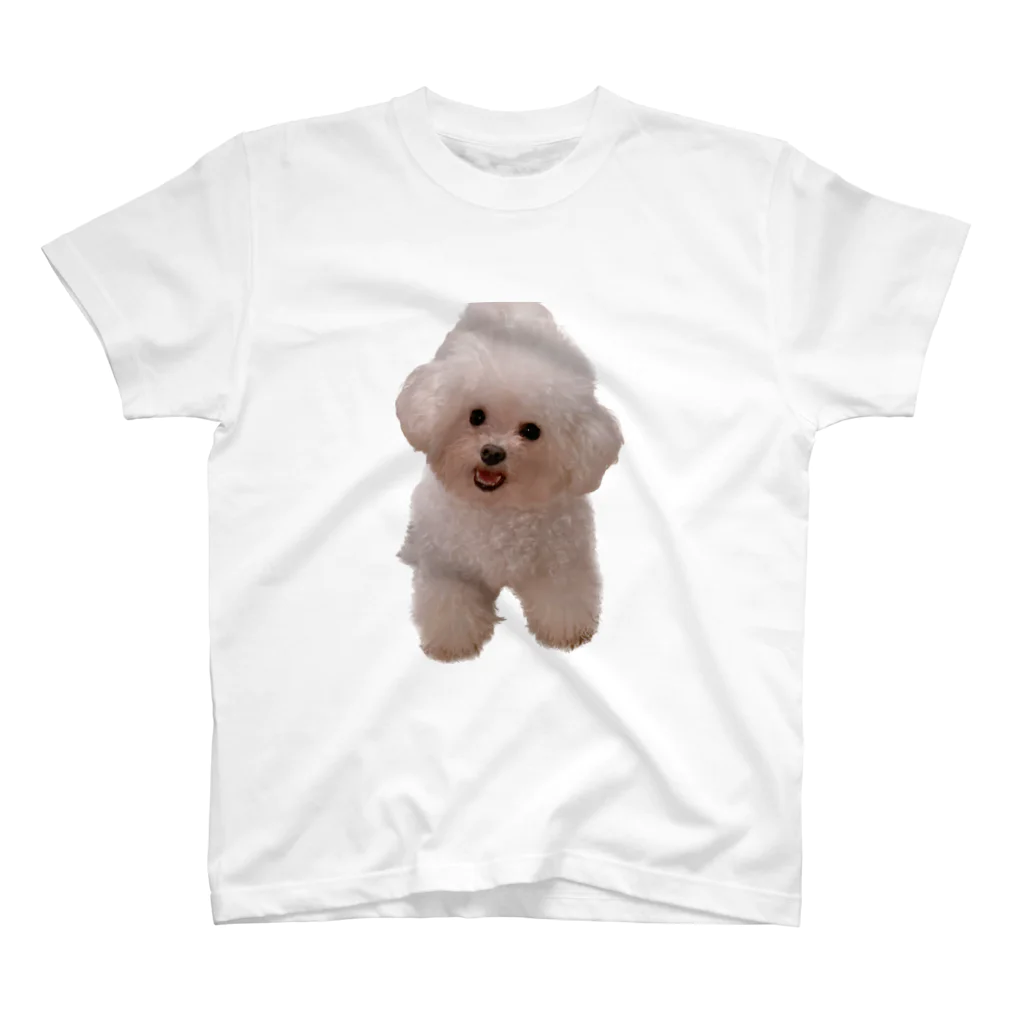 わんこのけいとのもふもふけいとさん スタンダードTシャツ