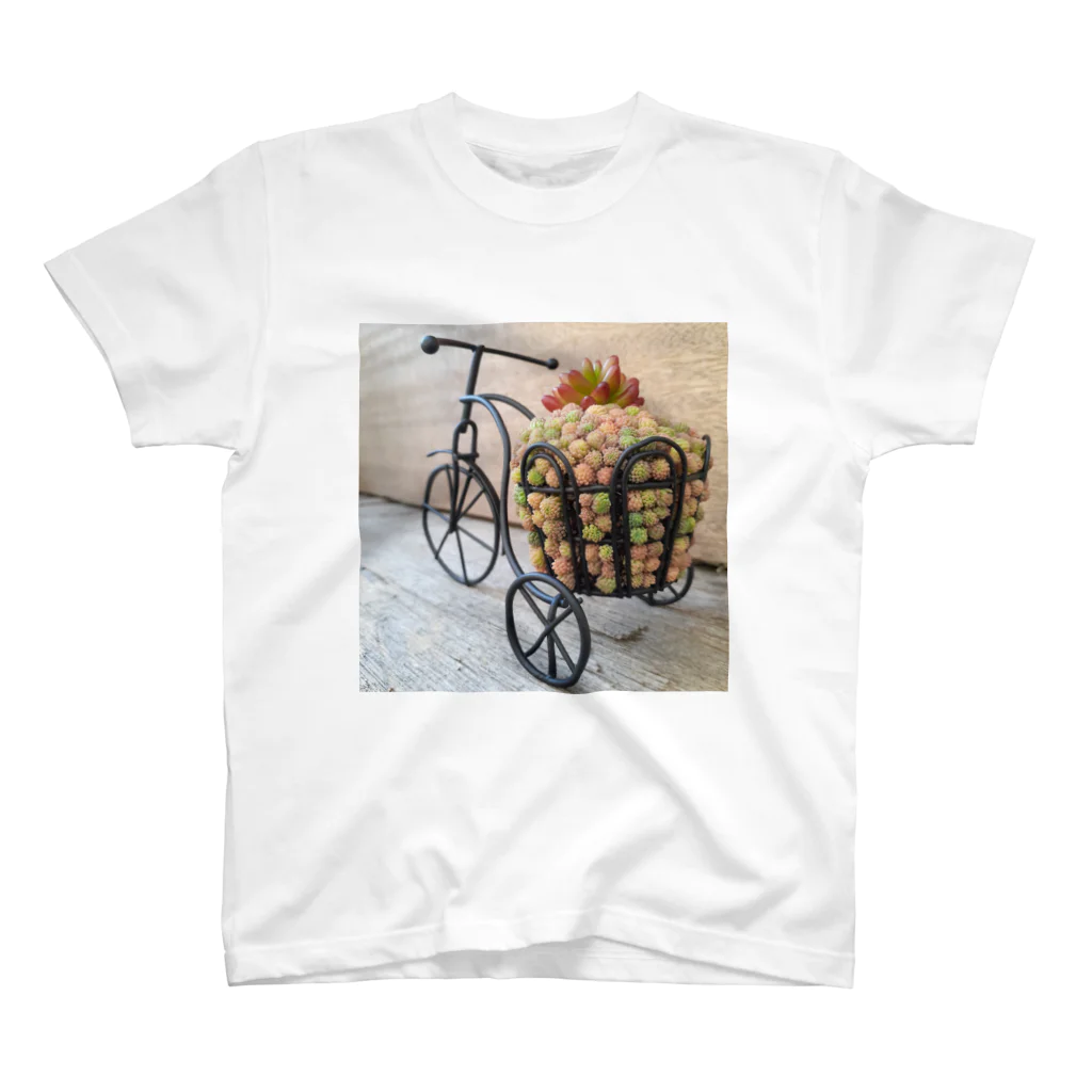 Succulent artist amt の自転車寄せ植え Regular Fit T-Shirt