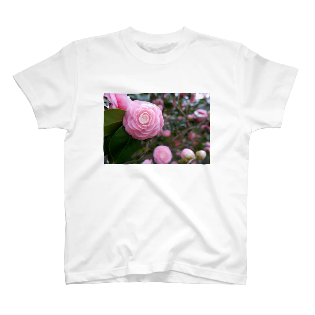 dandelionのピンク椿 Regular Fit T-Shirt
