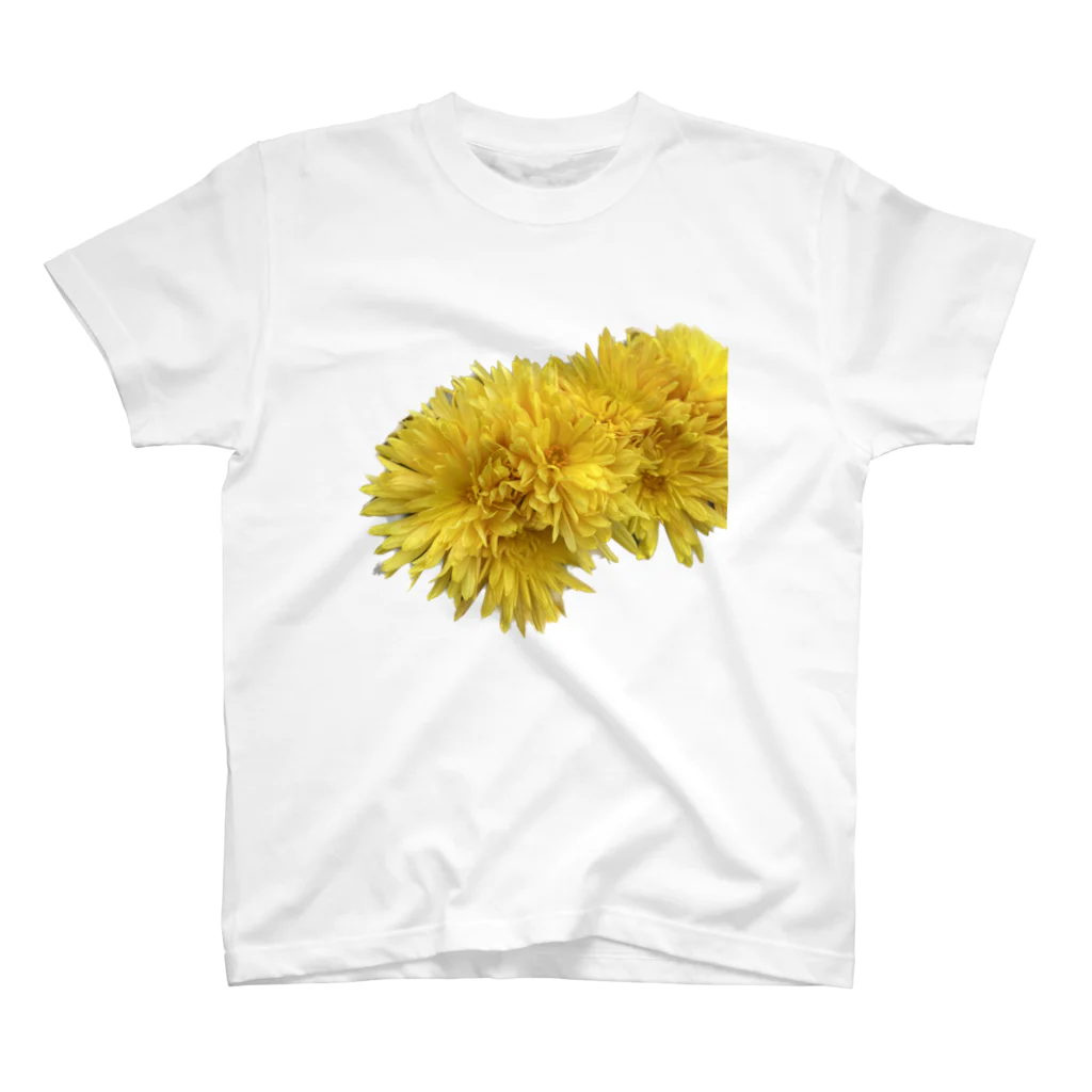 dandelionの黄色 Regular Fit T-Shirt