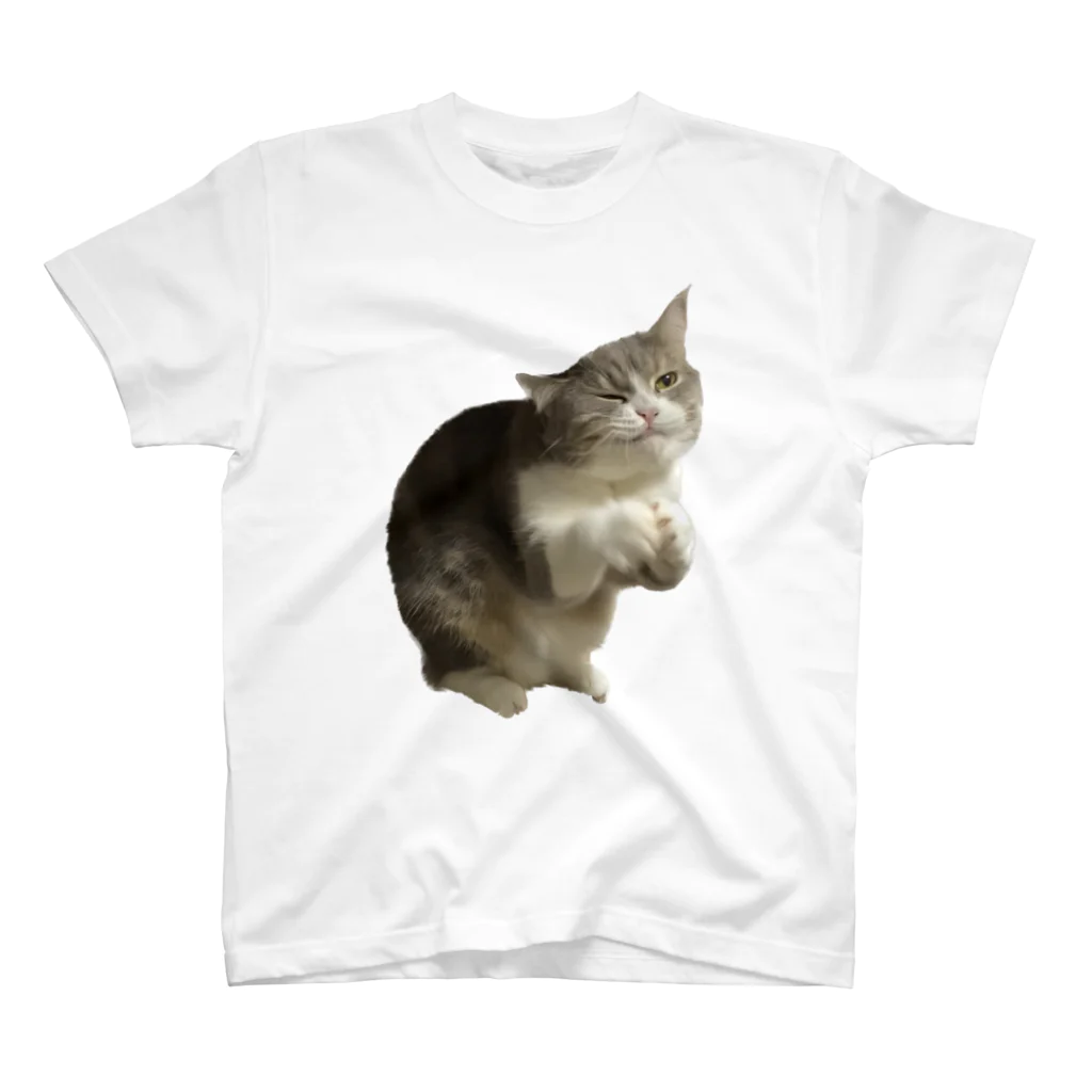 むっちり猫のむっちり丸のちょうだい！ミロ姫！ Regular Fit T-Shirt