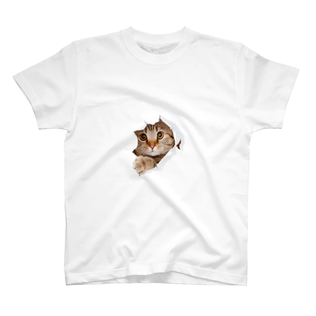 ただの猫好きのWhite Free Cute Funny Cat T-shirt Regular Fit T-Shirt