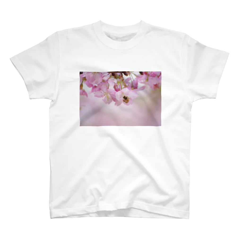 I miss you の河津桜とマーヤ スタンダードTシャツ