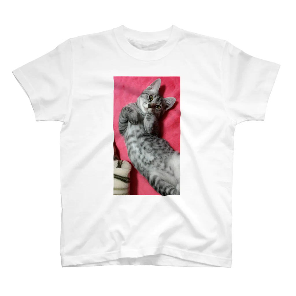 Grayの可愛げがあった頃の猫です｡ Regular Fit T-Shirt