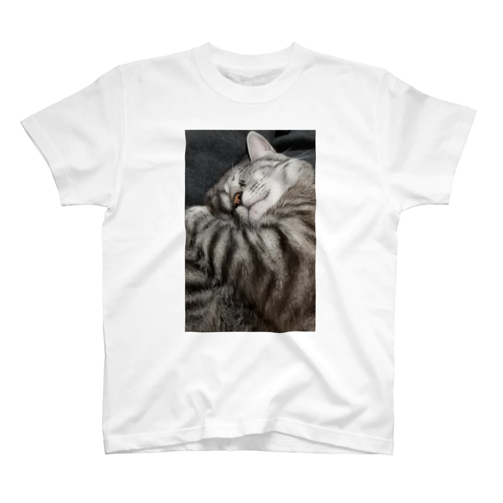 Grayのふてぶてしい猫です｡ スタンダードTシャツ