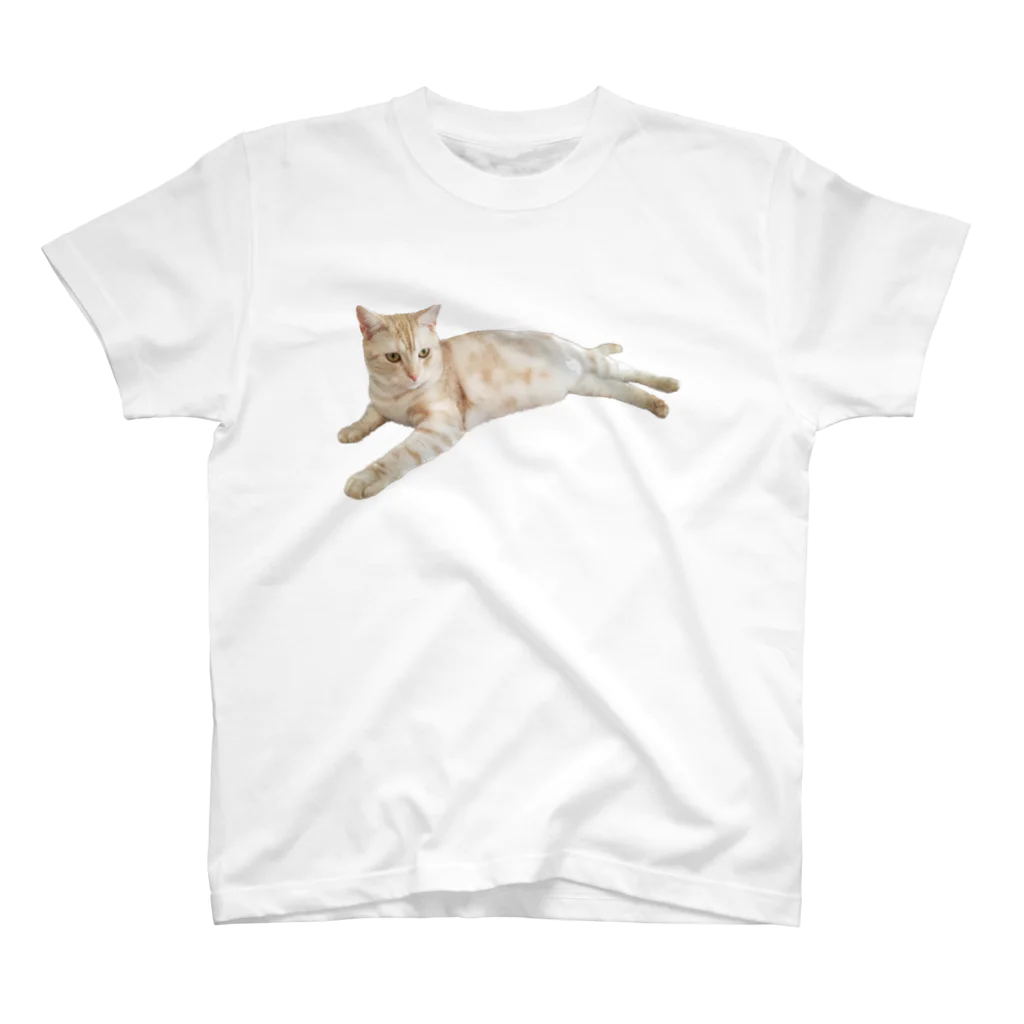 SOMARI_SATOのぐ〜たらねこ Regular Fit T-Shirt