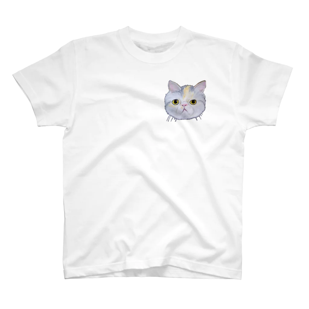 れいにゃん堂&れいにゃあ～と😺のチョークアートのエキゾチックショートヘア😺 Regular Fit T-Shirt