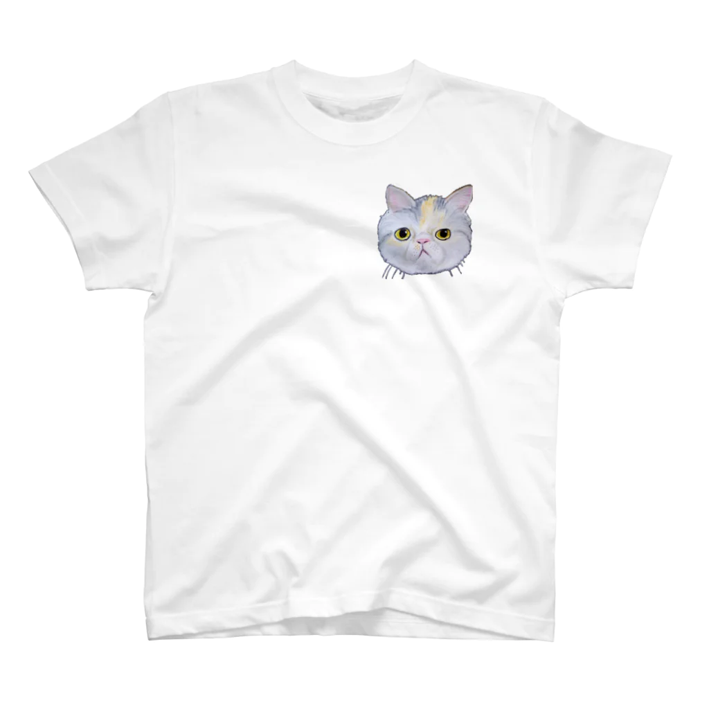 れいにゃん堂&れいにゃあ～と😺のチョークアートのエキゾチックショートヘア😺 スタンダードTシャツ