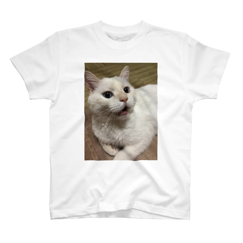 そらにも出来る保護猫支援のおうちにおいで勝手に応援団公式グッズ スタンダードTシャツ