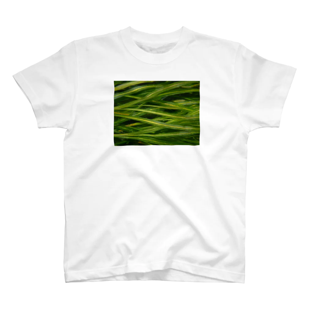 餅in a tankの水草:ぽたもげとん Regular Fit T-Shirt