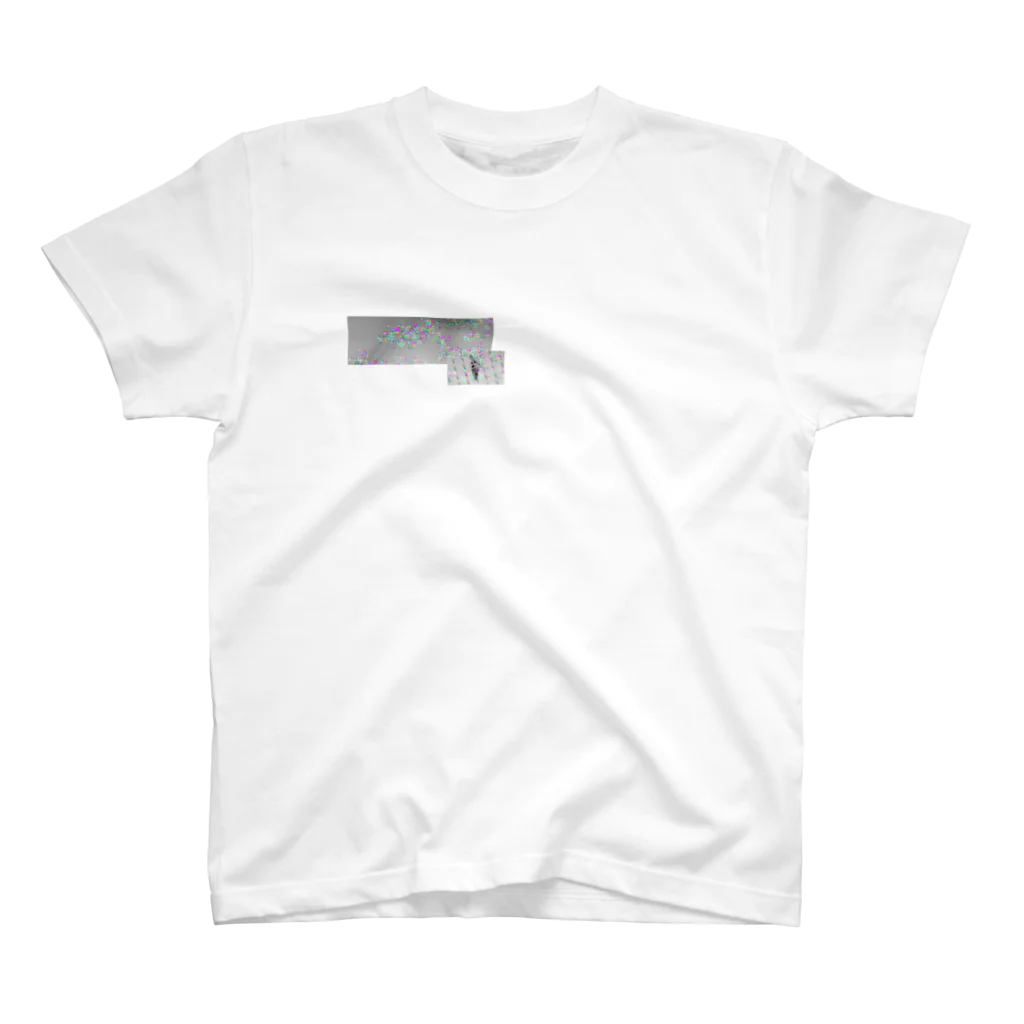 私の嫁ぃの愛と情 Regular Fit T-Shirt