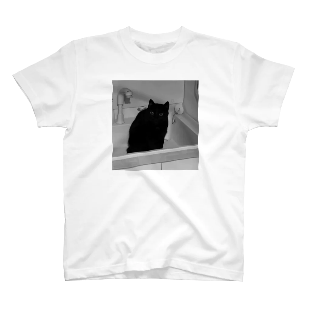 深夜の猫屋さんの深夜猫 Regular Fit T-Shirt