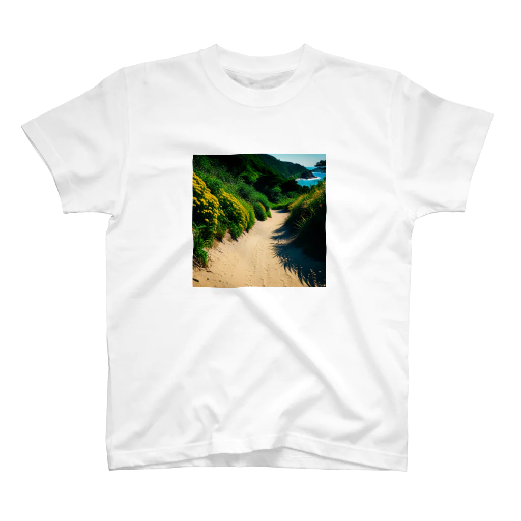 DapperMixの綺麗な道、海の楽園へグッズ スタンダードTシャツ