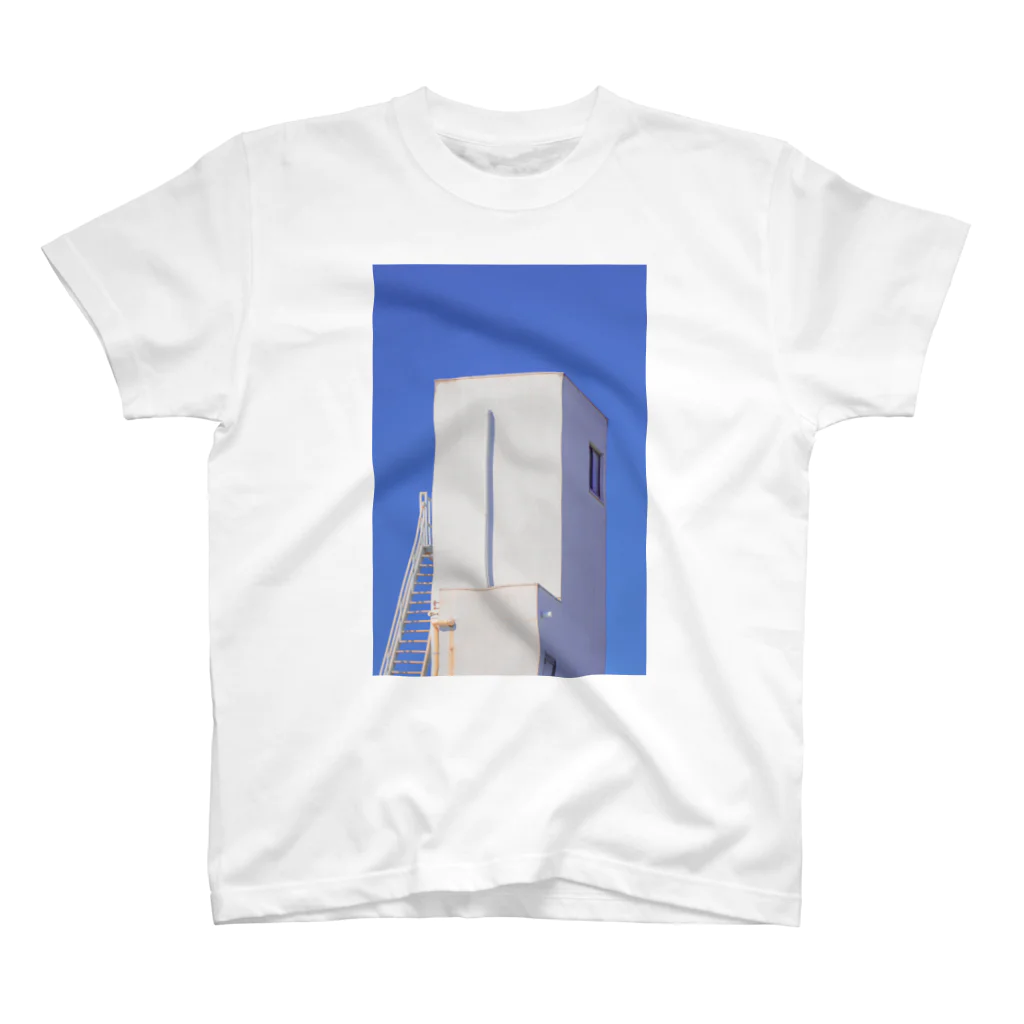 同心円の建造物 Regular Fit T-Shirt