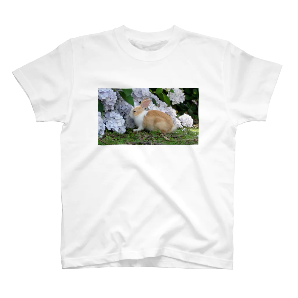 rabbit-islandの紫陽花と子ウサギ スタンダードTシャツ