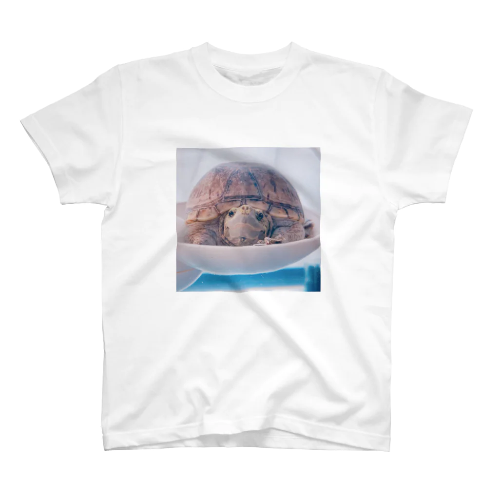 海辺のまちの嘘みたいに丸いカメ Regular Fit T-Shirt