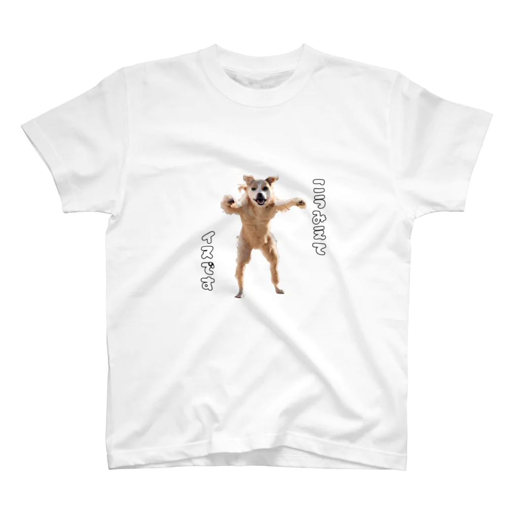 ケマオの店「ZF」の🐾 犬のロックダンスシュールグッズ 🕺 Regular Fit T-Shirt