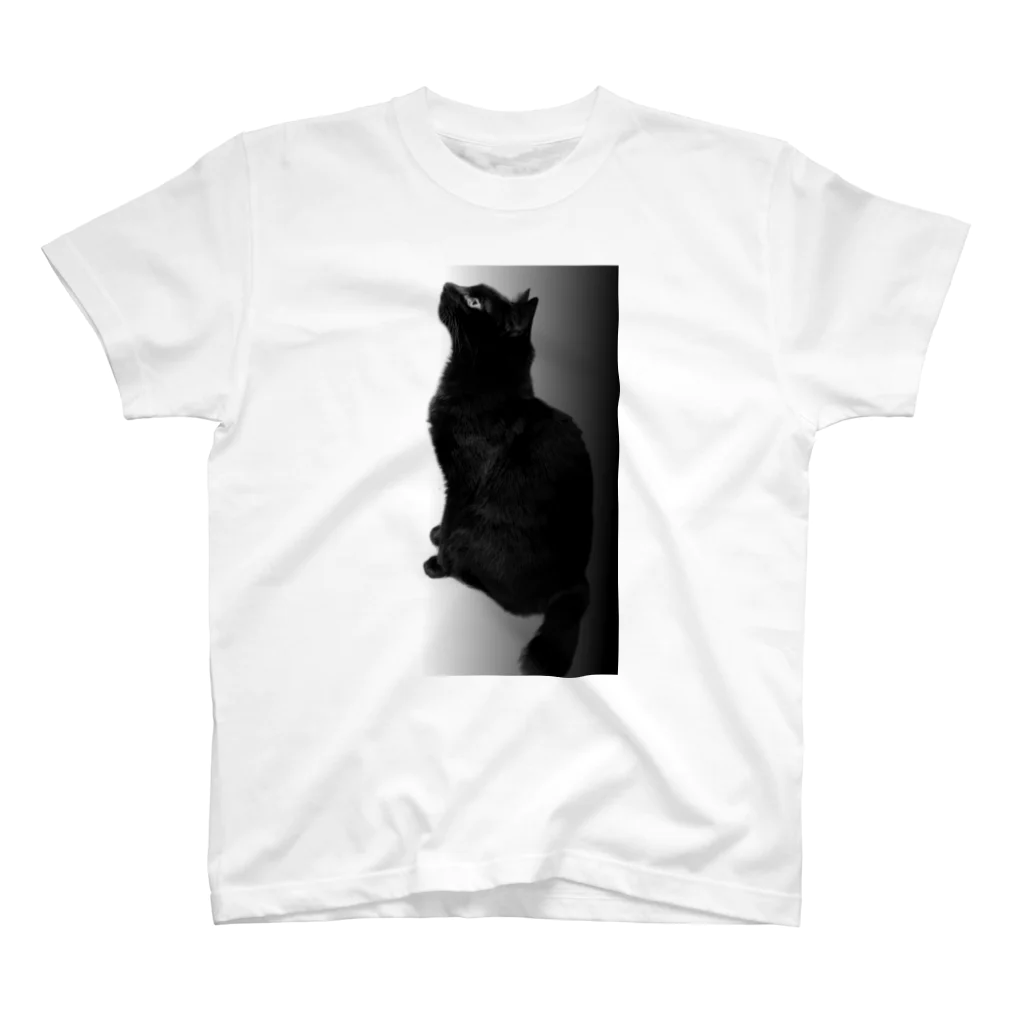 akitadaijinの黒猫 Regular Fit T-Shirt