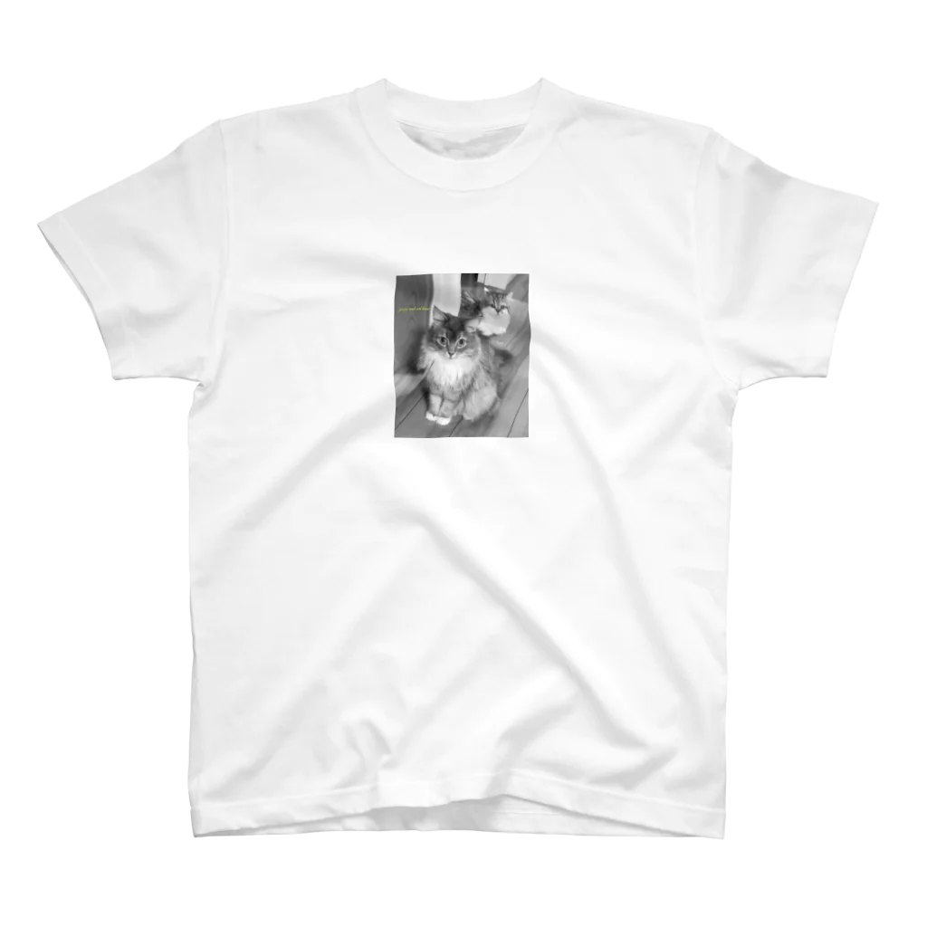 妖怪 水姫城-Yokai.Mizukijyo-ฅ^ơωơ^ฅ♡の#ネコヒメペット 58ฅ^ơωơ^ฅ♡ Regular Fit T-Shirt