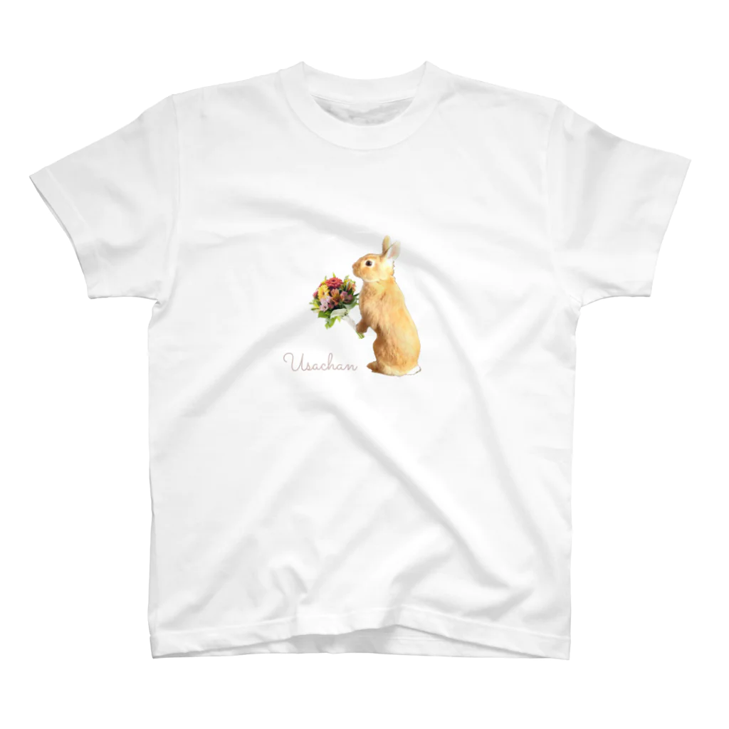 うさぎのうさちゃんのうさぎのうさちゃん Regular Fit T-Shirt