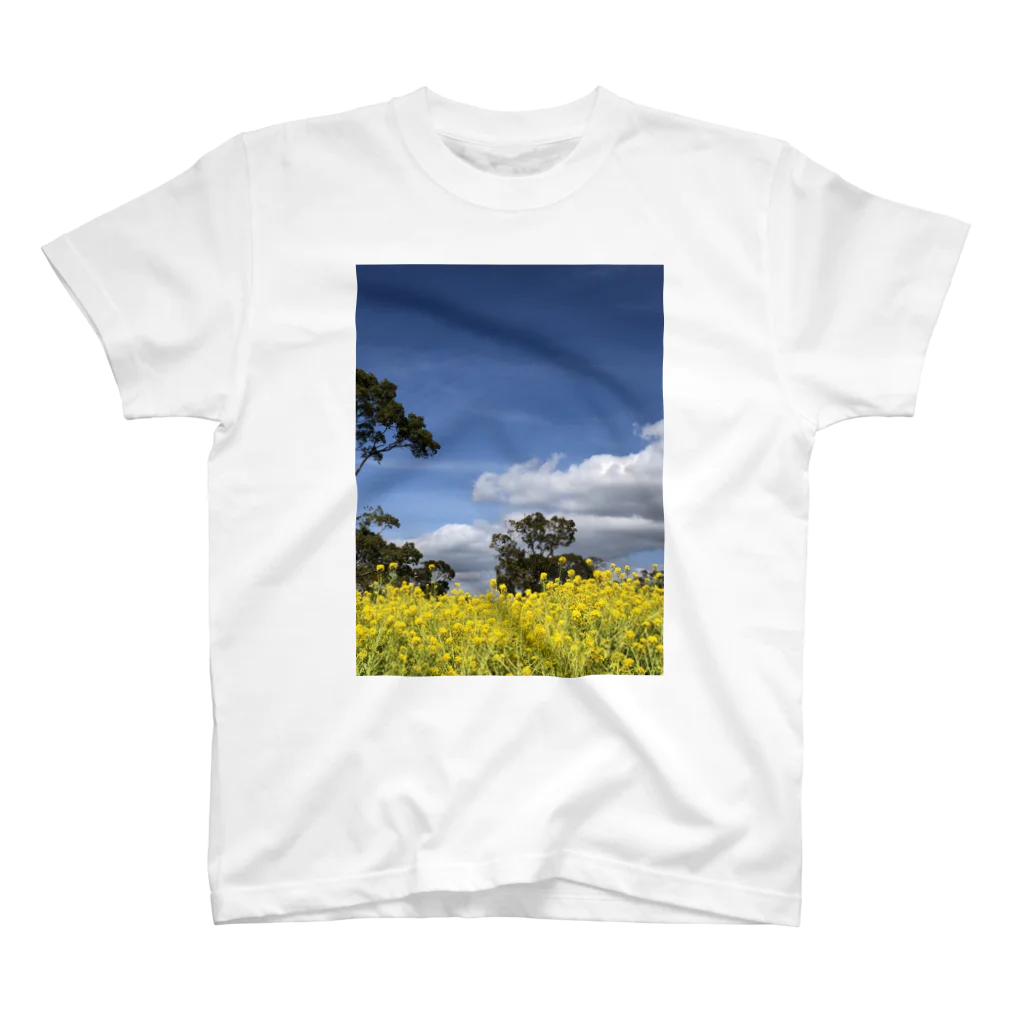 りえこの菜の花畑 スタンダードTシャツ