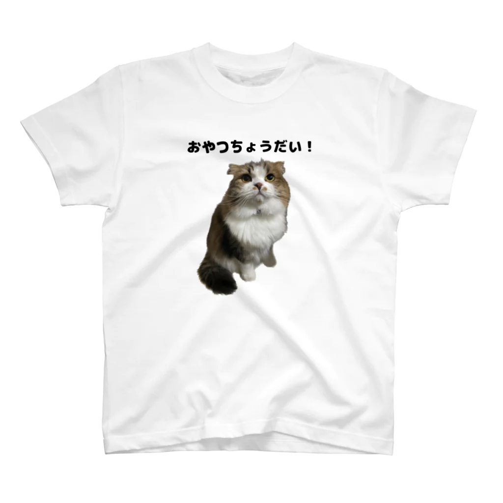 aaapiyoのおやつが欲しいしおんくん スタンダードTシャツ