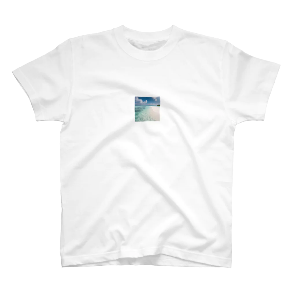 aiのBeautiful beach スタンダードTシャツ