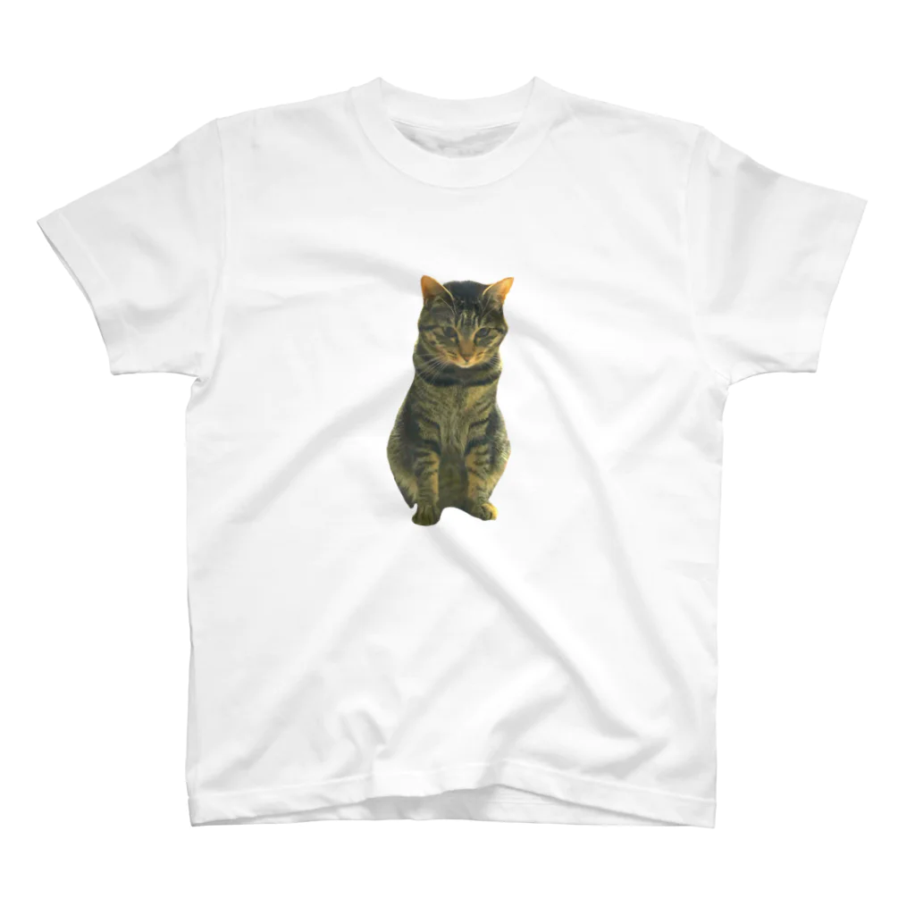 NeCo🐈‍⬛の反省猫 Regular Fit T-Shirt