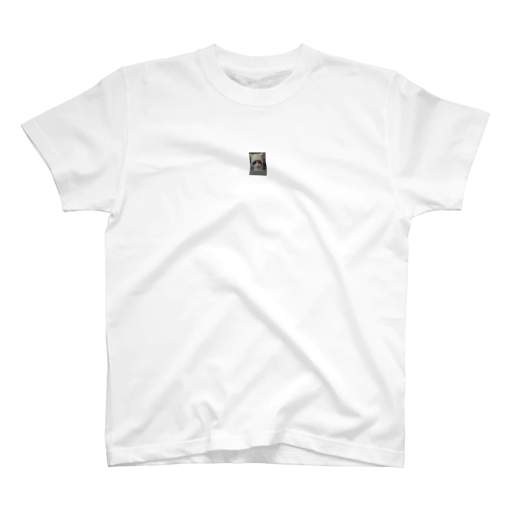 あやのみぃちゃん Regular Fit T-Shirt