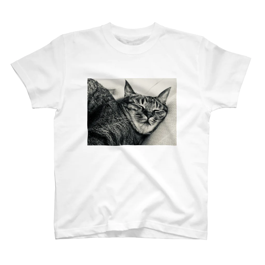 深夜の猫屋さんの深夜猫 Regular Fit T-Shirt