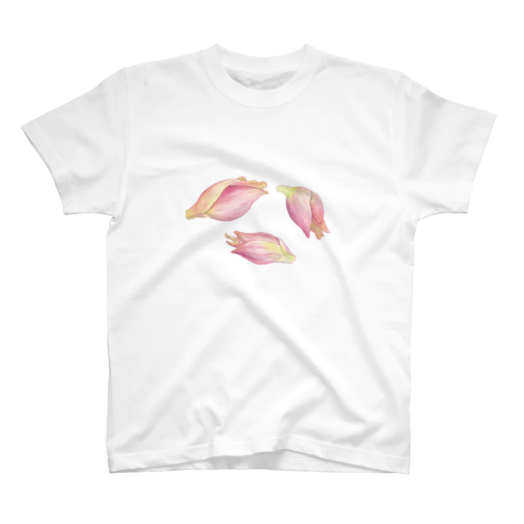 八百屋　桜宇の茗荷 スタンダードTシャツ