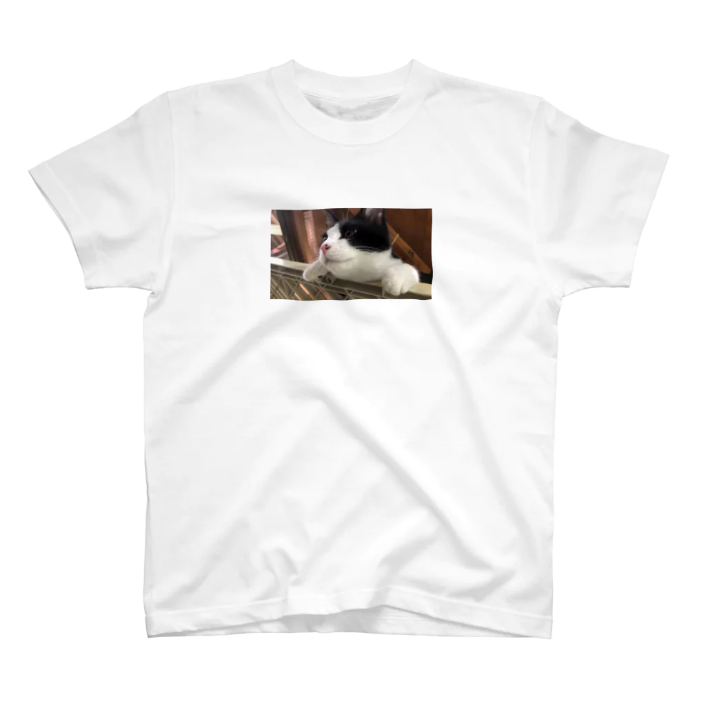 mi-chan2302の【子猫譲渡】ボスくん♂ スタンダードTシャツ