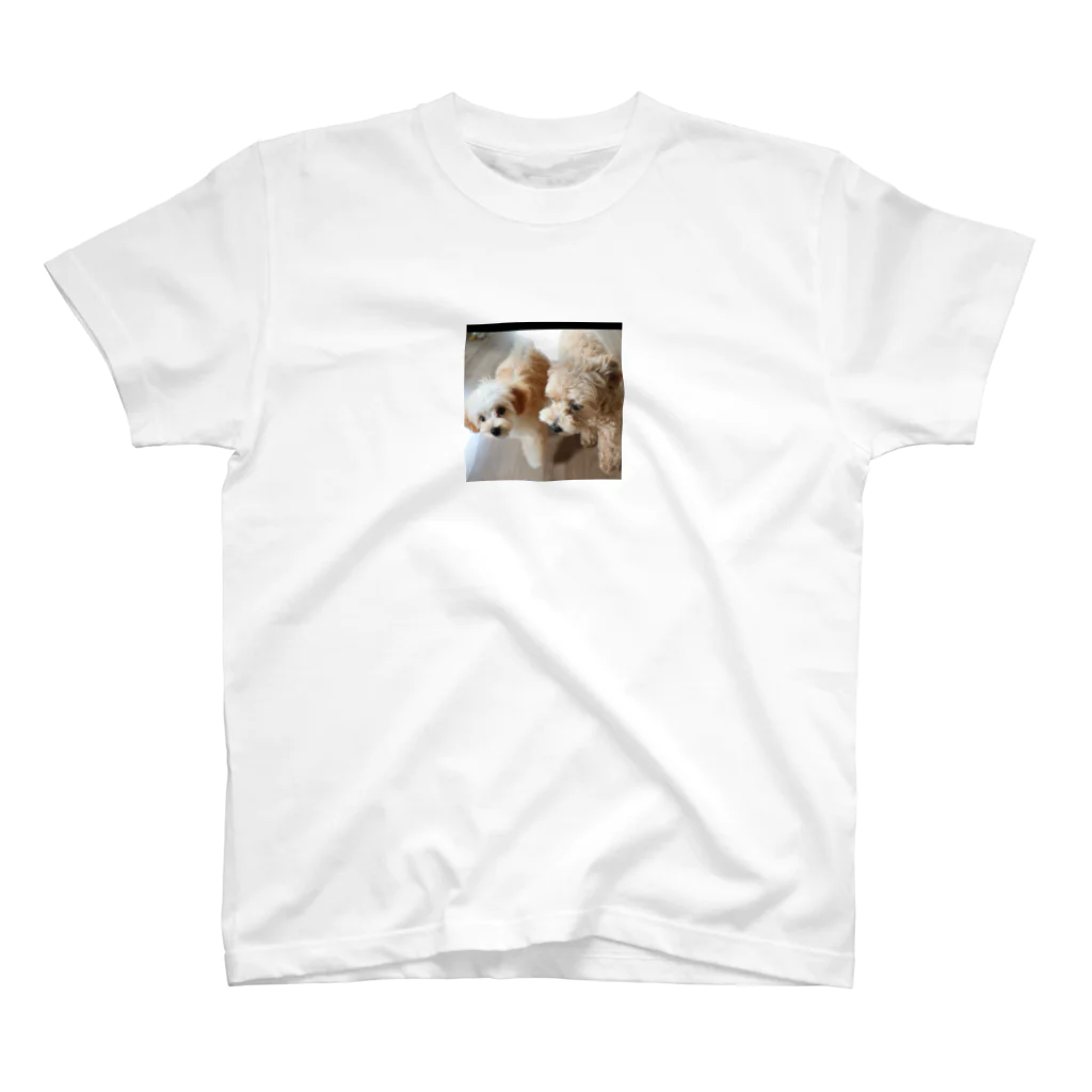 musashi-5の可愛い犬 スタンダードTシャツ