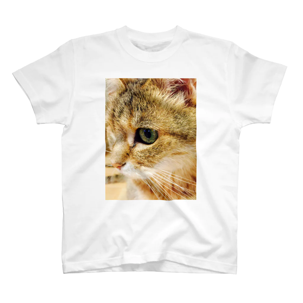 しりかげるonlineの愛猫ウラン スタンダードTシャツ