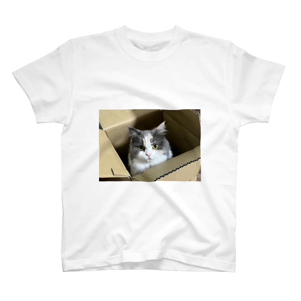 猫のお姫様のダンボール姫 Regular Fit T-Shirt